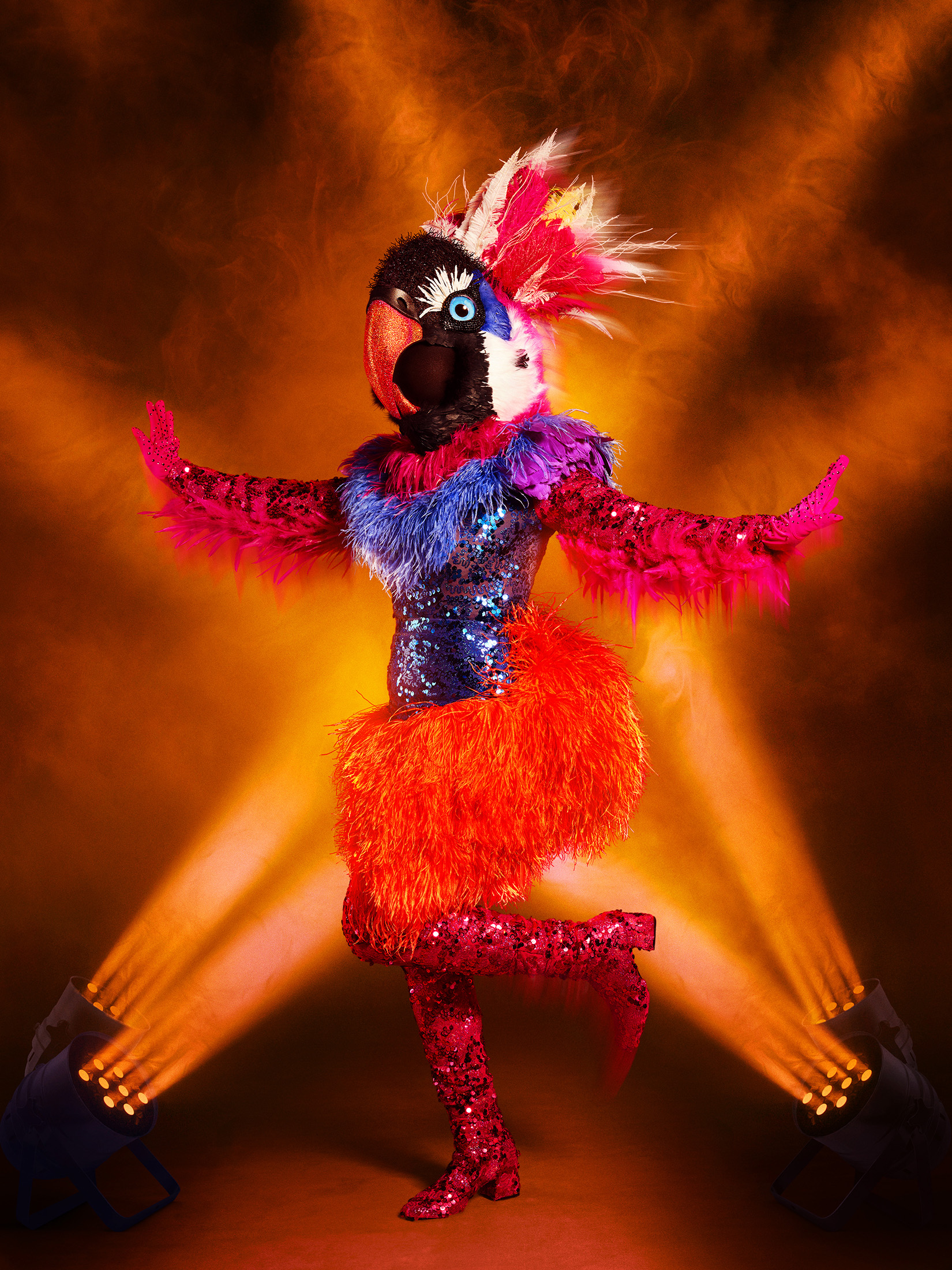 The Masked Dancer - Exotic  Bird