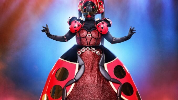 The Masked Singer