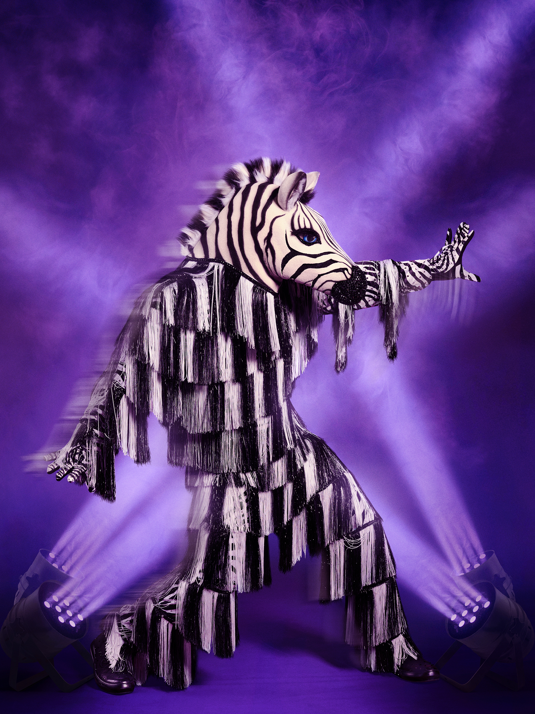 Zebra - The Masked Dancer