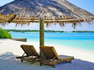 Lounge Chairs Under Thatched Umbrella at the Beach