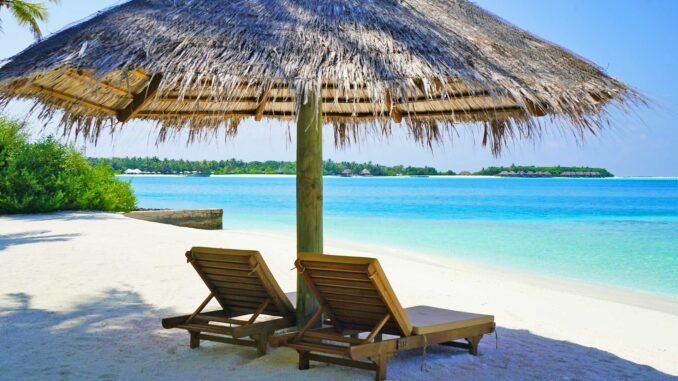 Lounge Chairs Under Thatched Umbrella at the Beach