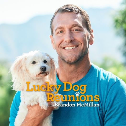 Brandon McMillan returns to ‘Lucky Dog’ on CBS : TVMusic Network