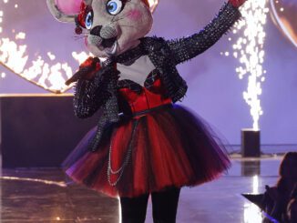 The Masked Singer - Anonymouse