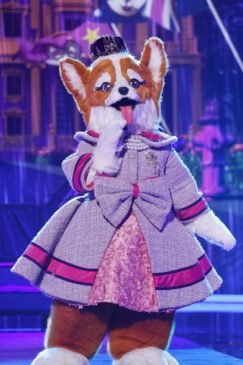 The Masked Singer