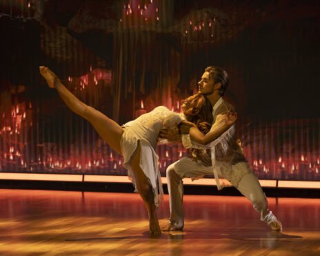 Dancing with the Stars: The Next Pro
