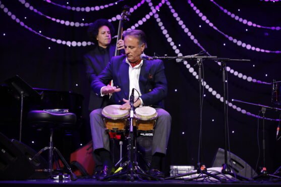 Andy Garcia performs at 2026 Imagen Awards (Photo Credit: